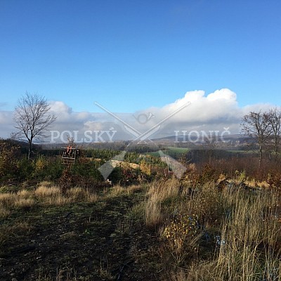 Vojenské lesy a statky ČR divize Lipník nad Bečvou 7.11.2019