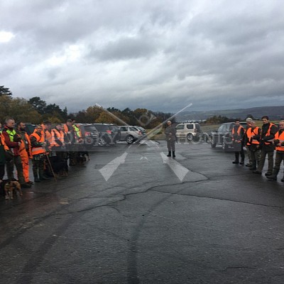 Lípa nad Dřevnicí 9.11.2019- 26 ks černé