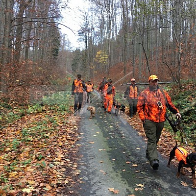 Vojenské lesy a statky ČR divize Lipník nad Bečvou 20.11.2019