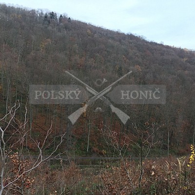 Vojenské lesy a statky ČR divize Lipník nad Bečvou 20.11.2019