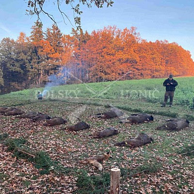Zádvěřice 12.11.2022