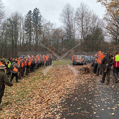 Vojenské lesy a statky ČR divize Lipník nad Bečvou 17.11.2022