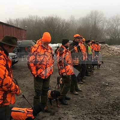 Vojenské lesy a statky ČR divize Lipník nad Bečvou 12.12.2019