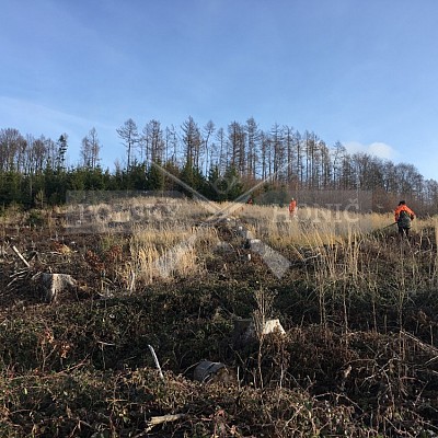 Vojenské lesy a statky ČR divize Lipník nad Bečvou 19.12.2019