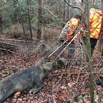 Vojenské lesy a statky ČR divize Lipník nad Bečvou 19.12.2019