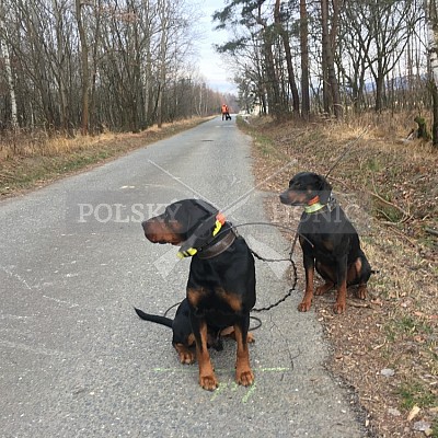 Vojenské lesy a statky ČR divize Lipník nad Bečvou 30.12.2019