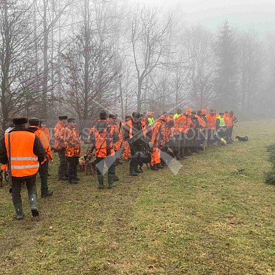 Vojenské lesy a statky ČR divize Lipník nad Bečvou 12.1.2023