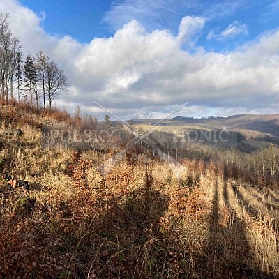 Vojenské lesy a statky ČR divize Lipník nad Bečvou 12.1.2023