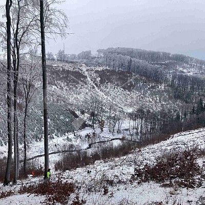 Vojenské lesy a statky ČR divize Lipník nad Bečvou 27.1.2023
