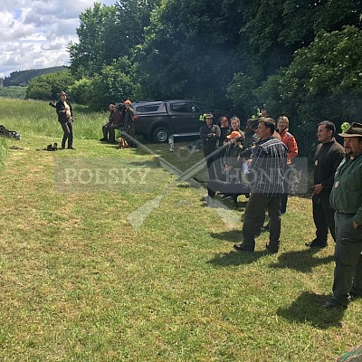 Výcvikový den Polských honičů a barvářů 2020