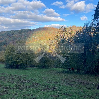 Zádveřice 4.11.2023