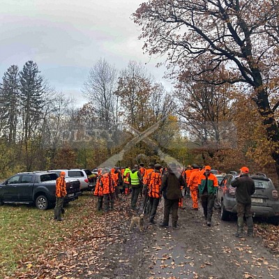Vojenské lesy a statky ČR divize Lipník nad Bečvou 17.11.2023