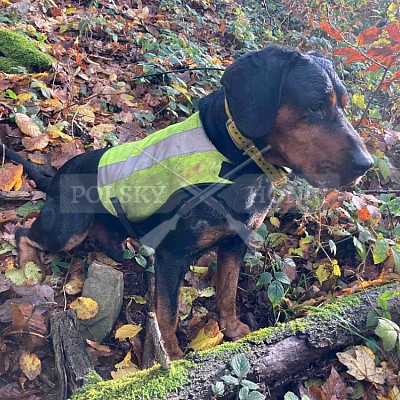Vojenské lesy a statky ČR divize Lipník nad Bečvou 17.11.2023