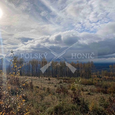 Vojenské lesy a statky ČR divize Lipník nad Bečvou 17.11.2023