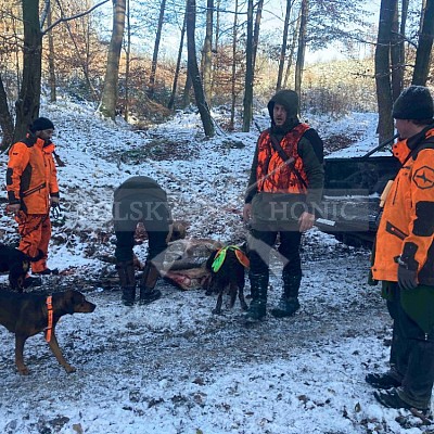 Vojenské lesy a statky ČR divize Lipník nad Bečvou 30.11.2023