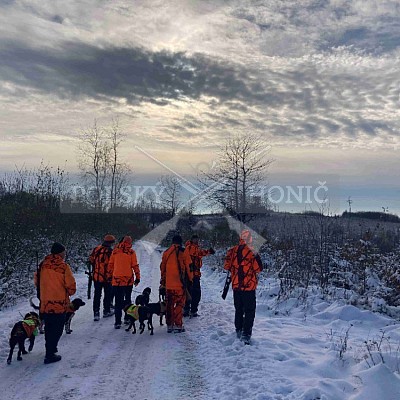 Vojenské lesy a statky ČR divize Lipník nad Bečvou 30.11.2023