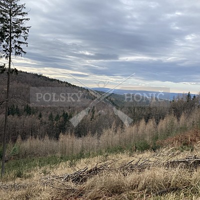 Roveň- Přílepy 2.1.2021