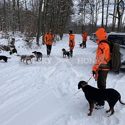 Vojenské lesy a statky ČR divize Lipník nad Bečvou 15.1.2021