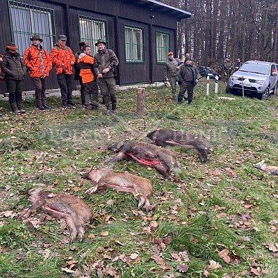 Lípa nad Dřevnicí 13.11.2021