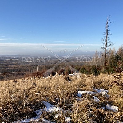 Vojenské lesy a statky ČR divize Lipník nad Bečvou 17.1.2021