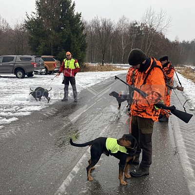 Vojenské lesy a statky ČR divize Lipník nad Bečvou 30.1.2021
