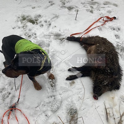 Vojenské lesy a statky ČR divize Lipník nad Bečvou 30.1.2021