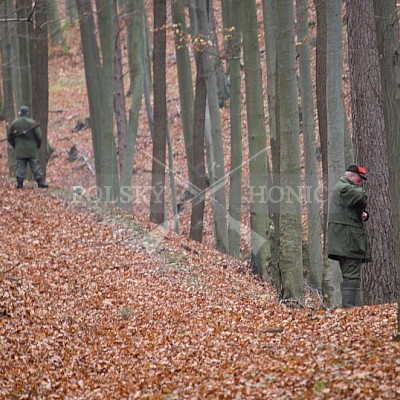 Naháňka Lípa u Zlína 12.11.2016 - podrobná foto prohlídka 
