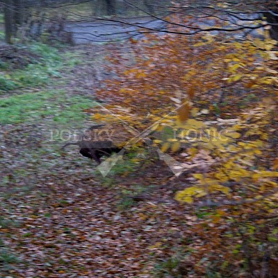 Naháňka Lípa u Zlína 12.11.2016 - podrobná foto prohlídka 