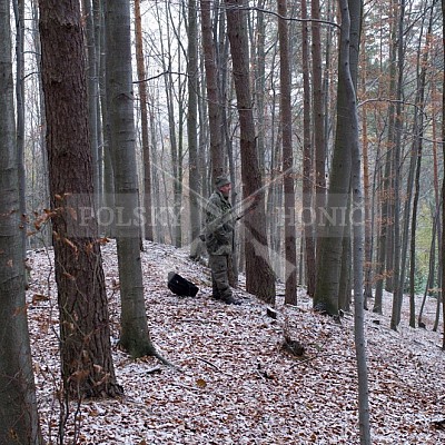 Naháňka Lípa u Zlína 12.11.2016 - podrobná foto prohlídka 