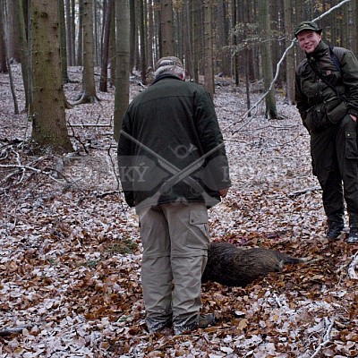 Naháňka Lípa u Zlína 12.11.2016 - podrobná foto prohlídka 