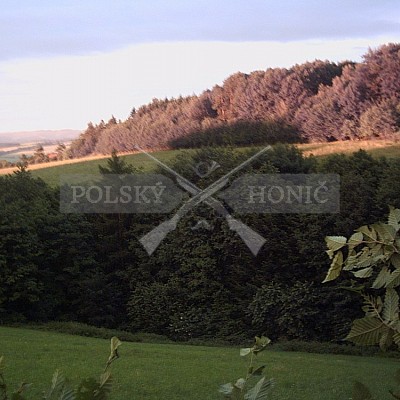 Lípa u Zlína -naše honitba