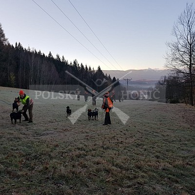 Kowary-Polsko-24-25.11-2018 naháňka-Dzik,Doker,Debra,Dona,Bor