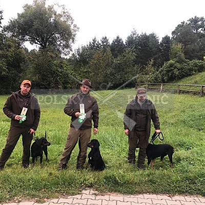 Soutěž polských honičů na přirozených dosledech - Mazurské jezera -Polsko 19-22.9.2019