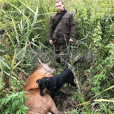 Soutěž polských honičů na přirozených dosledech - Mazurské jezera -Polsko 19-22.9.2019