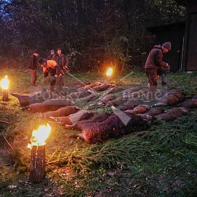 Lípa nad Dřevnicí 9.11.2019- 26 ks černé