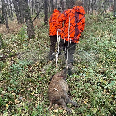 Vojenské lesy a statky ČR divize Lipník nad Bečvou 17.11.2022