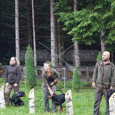 Výcvikový pobyt POLSKÝCH HONIČŮ  4-5.6.2022 VLS -divize Hořovice